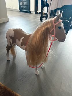 Little  pony