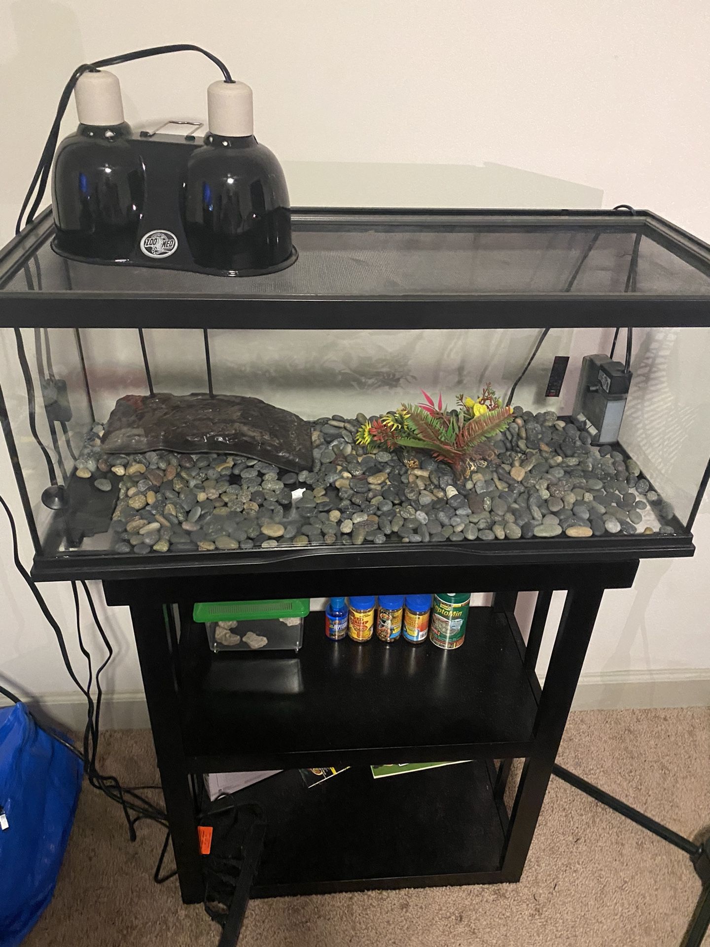 Turtle/Fish Tank+ Kit EVERYTHING YOU NEED FOR A TURTLE