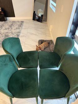 Dinning Chairs