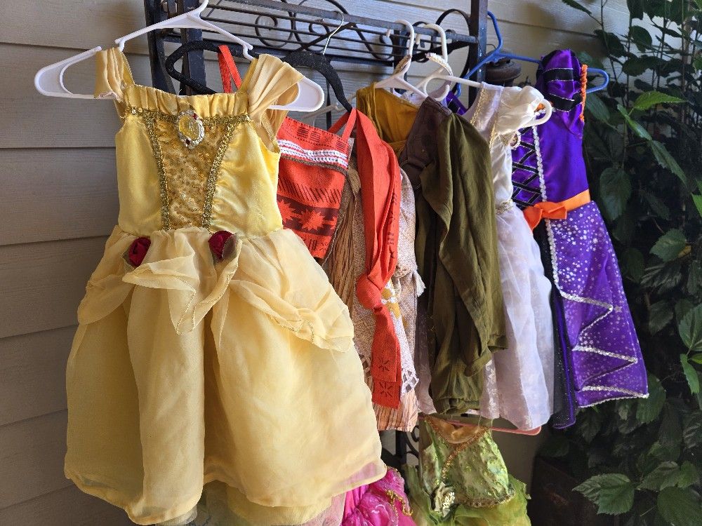 Magical Disney Princess Dresses - Your Little Girl's Dream Come True!