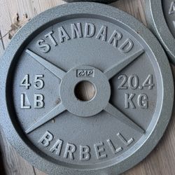 2 45lb Plates Weights