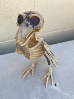 Movie Props / Decorations : Animal Skeletons