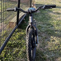 Stacyc 16” inch brushless Electric Bike