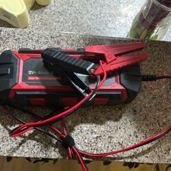 Plug In Battery Charger