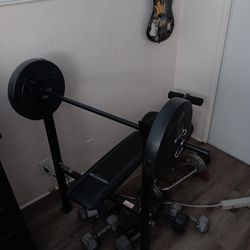 Bench With 25lbs Weighhts 