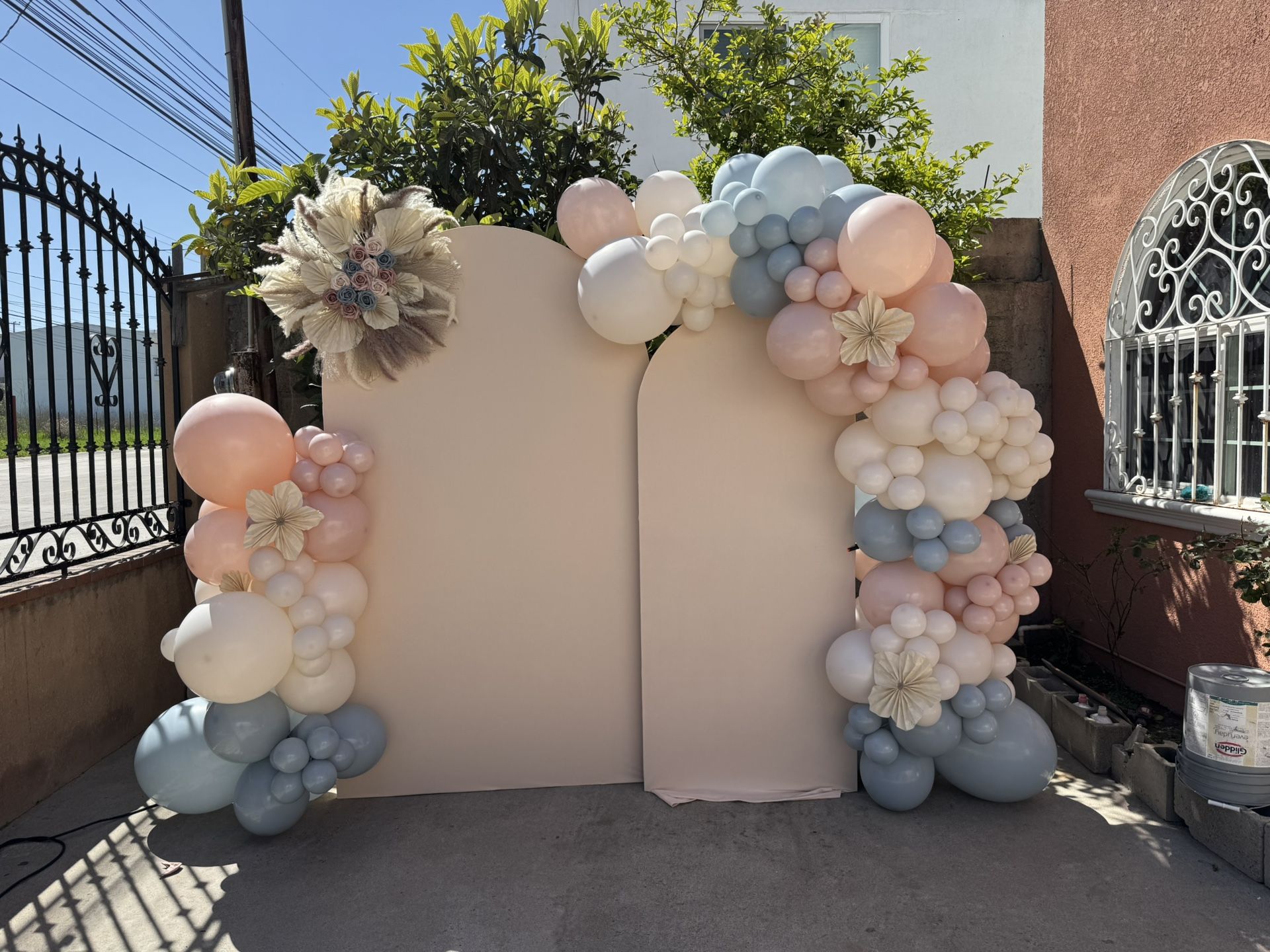 Balloon Arches