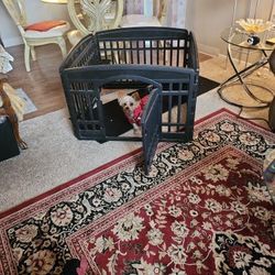 Pet  Playpen 