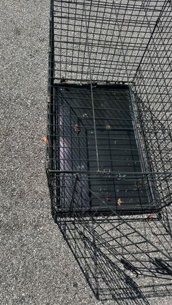 2 Black Wire Dog Crate