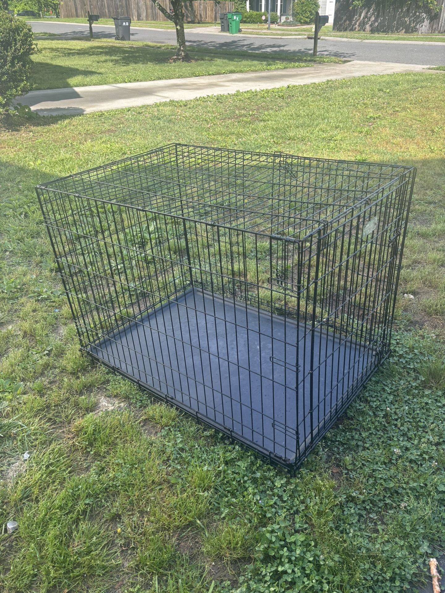 large dog cage