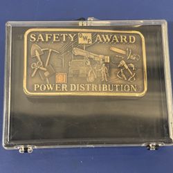 DWP Safety Award Buckle Power Distribution