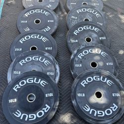Rogue Echo Bumper Plates For Sale 