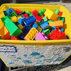 LEGO DUPLO bricks