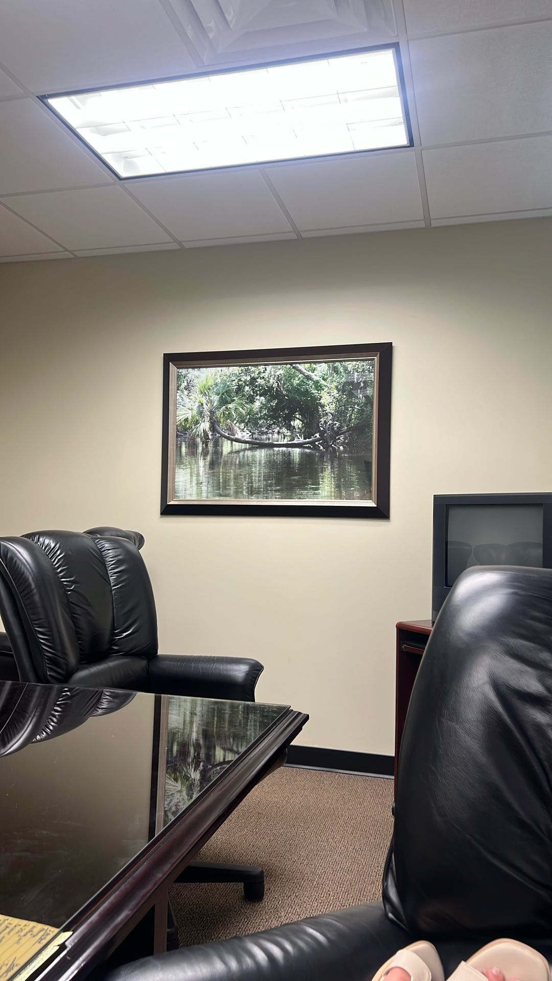 Picture Frame Of Green Nature 