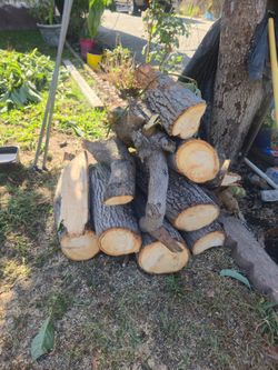Wood