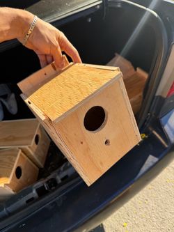 Parakeet nest box (inside cage)