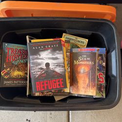 Huge Box Of Summer Reading For Older Kids