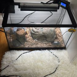 Corn Snake Tank Setup 