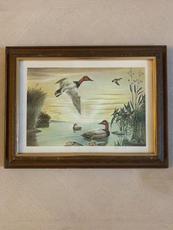 Framed ducks in flight
