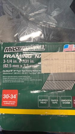 Masterforce 3-1/4 nails