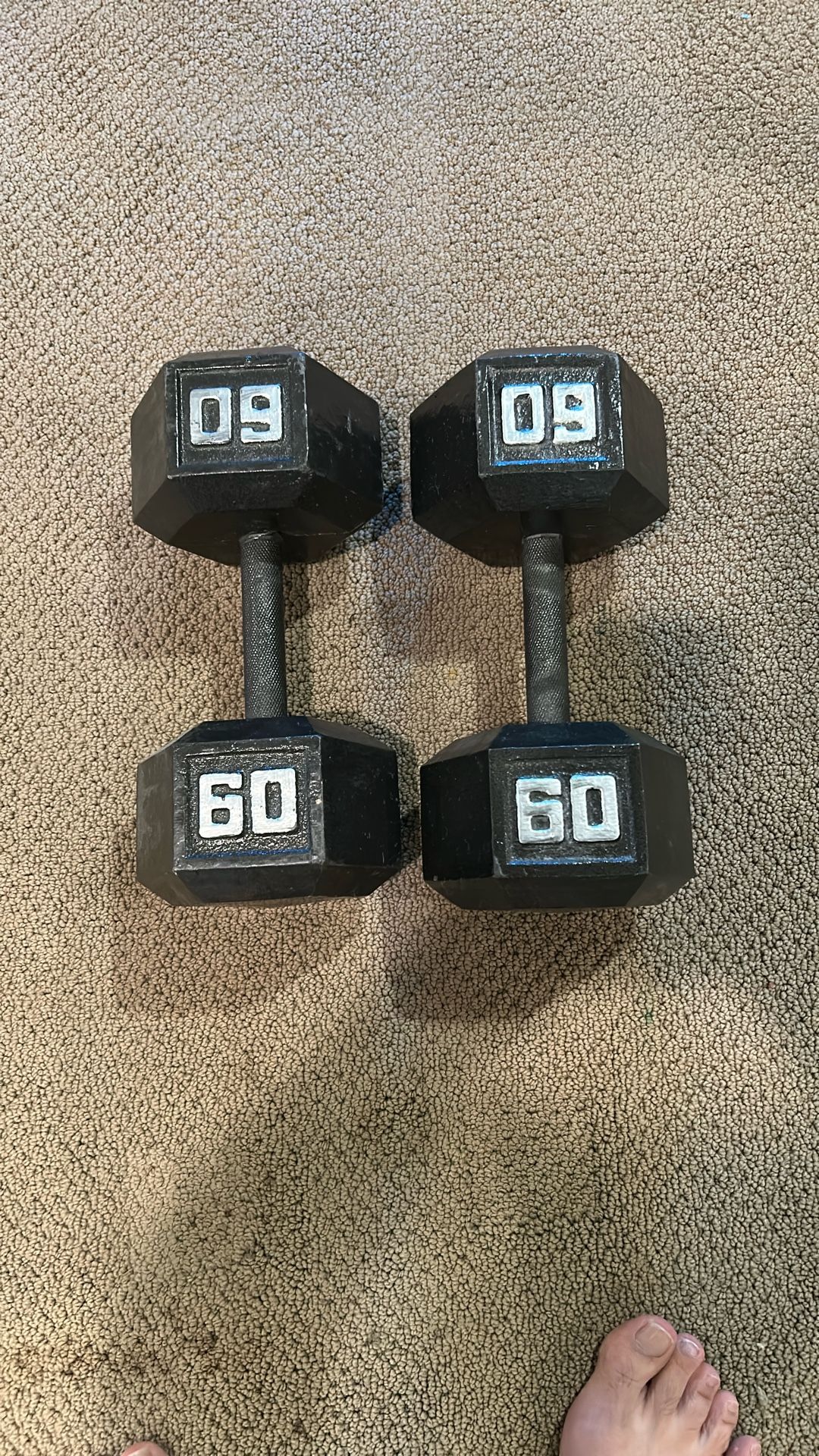 60lb Iron Dumbbells