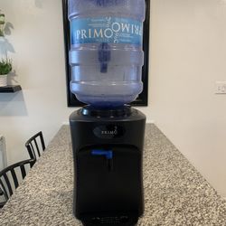 Water Dispenser With A Water Gallon