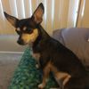 Zoe