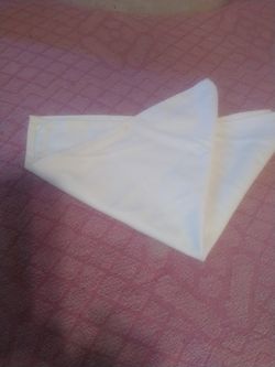 Cloth Napkins