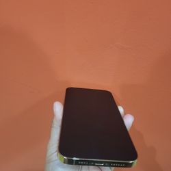 Iphone 13 Pro Max (AT&T)
