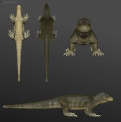 Komodo Dragon Figure 3D Printed Realistic Reptile Statue Decor