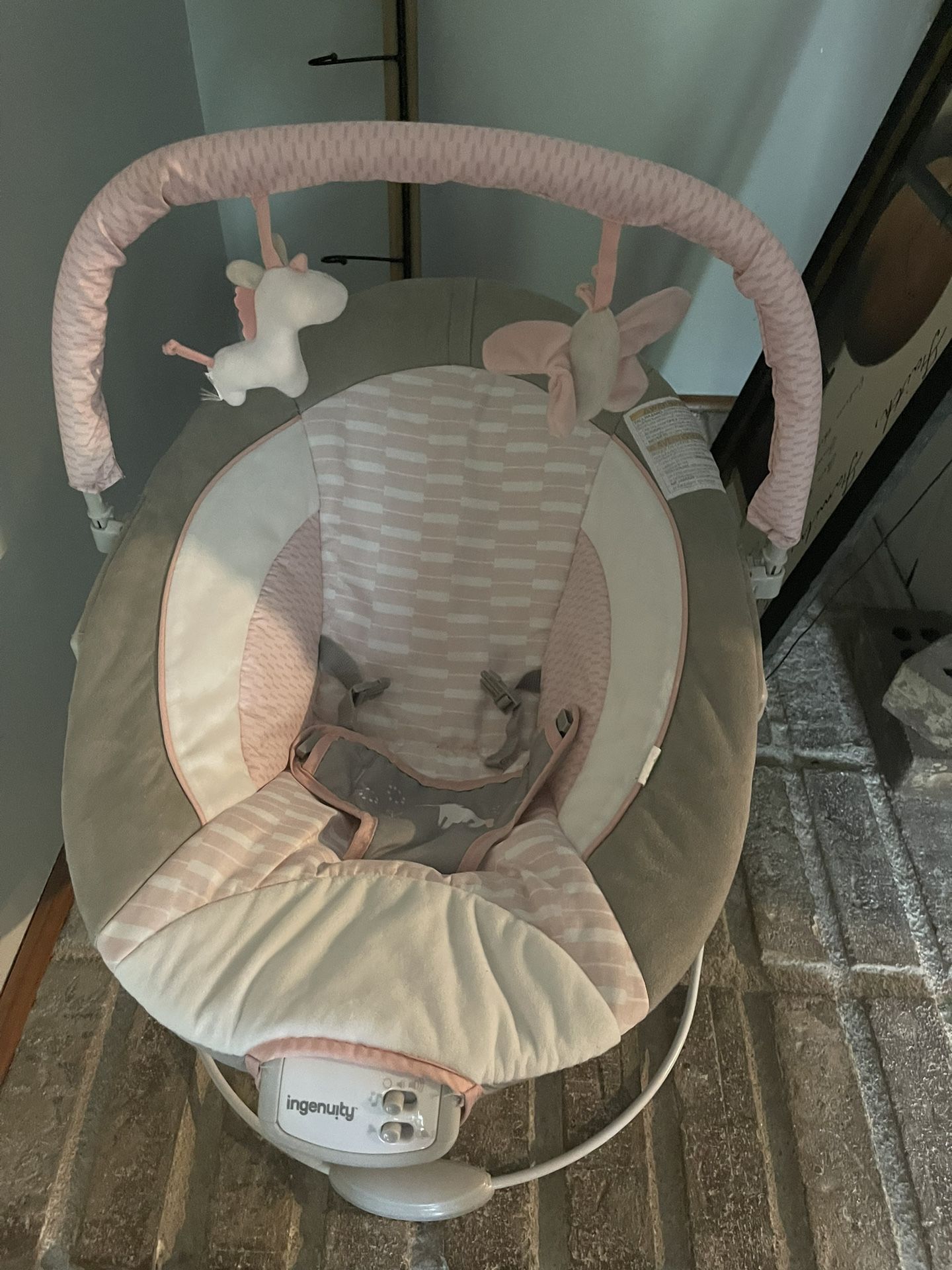 Ingenuity Baby Bouncer 