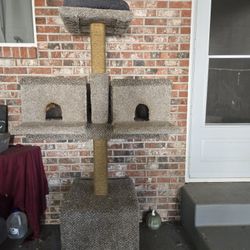 Cat Tree