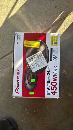 Speaker pioneer