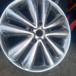 Niches 17"s