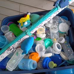 Palm Tree's And Such