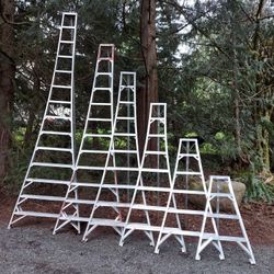 Orchard Ladders Used And New Available 