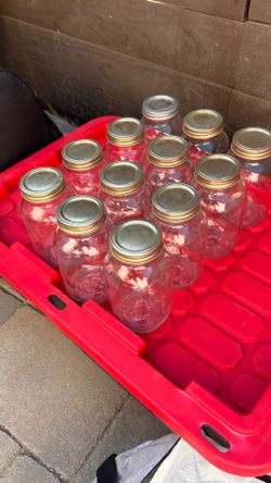 12 Mason Style Glass Jars with Screw-On Lids