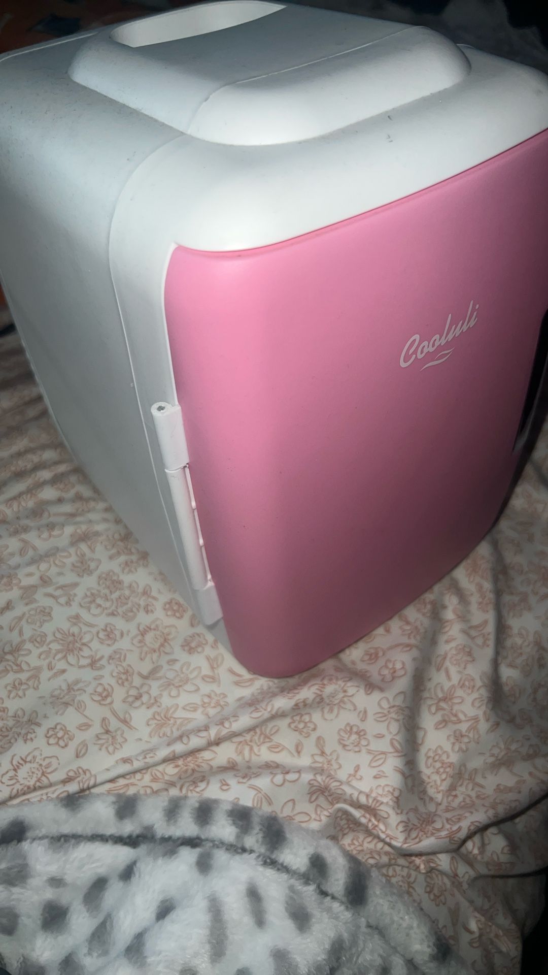 Pink Mini Fridge