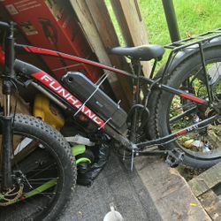 Funhang Ebike 