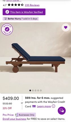 Brand new (IN BOX) Birch Lane Pool loungers and cushions