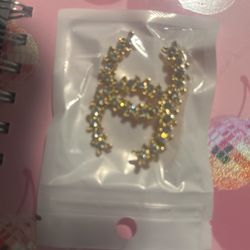 Brand New Brooch