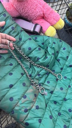 Dog Collar
