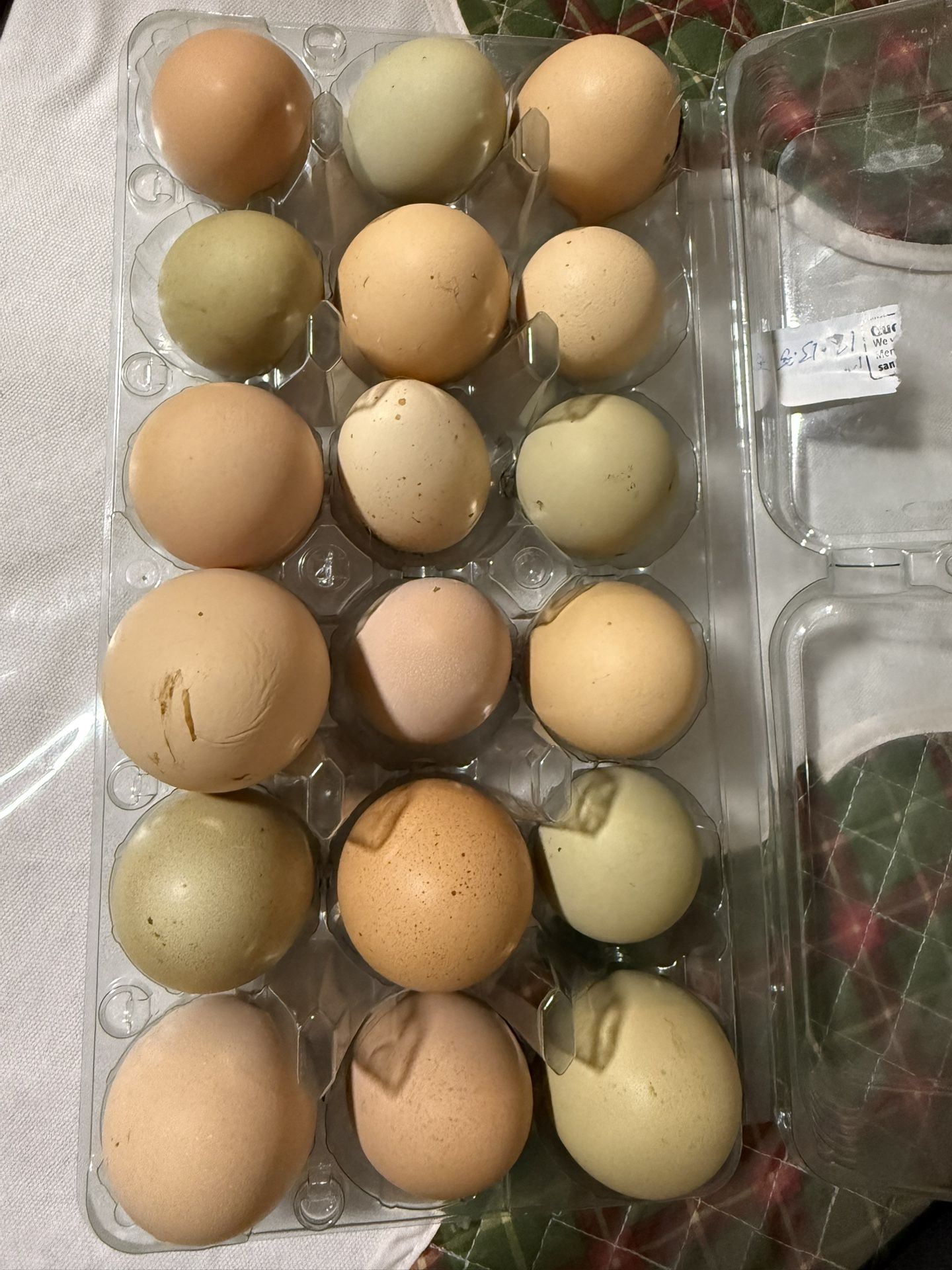 Cage Free Pasture Raised Eggs