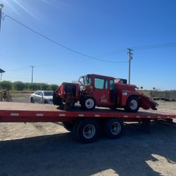 Almond Orchard and Farm