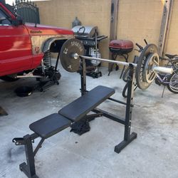 BENCH PRESS SPARTA (MUST GO)