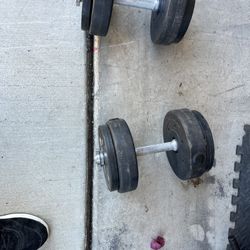 25 Lb Dumbells