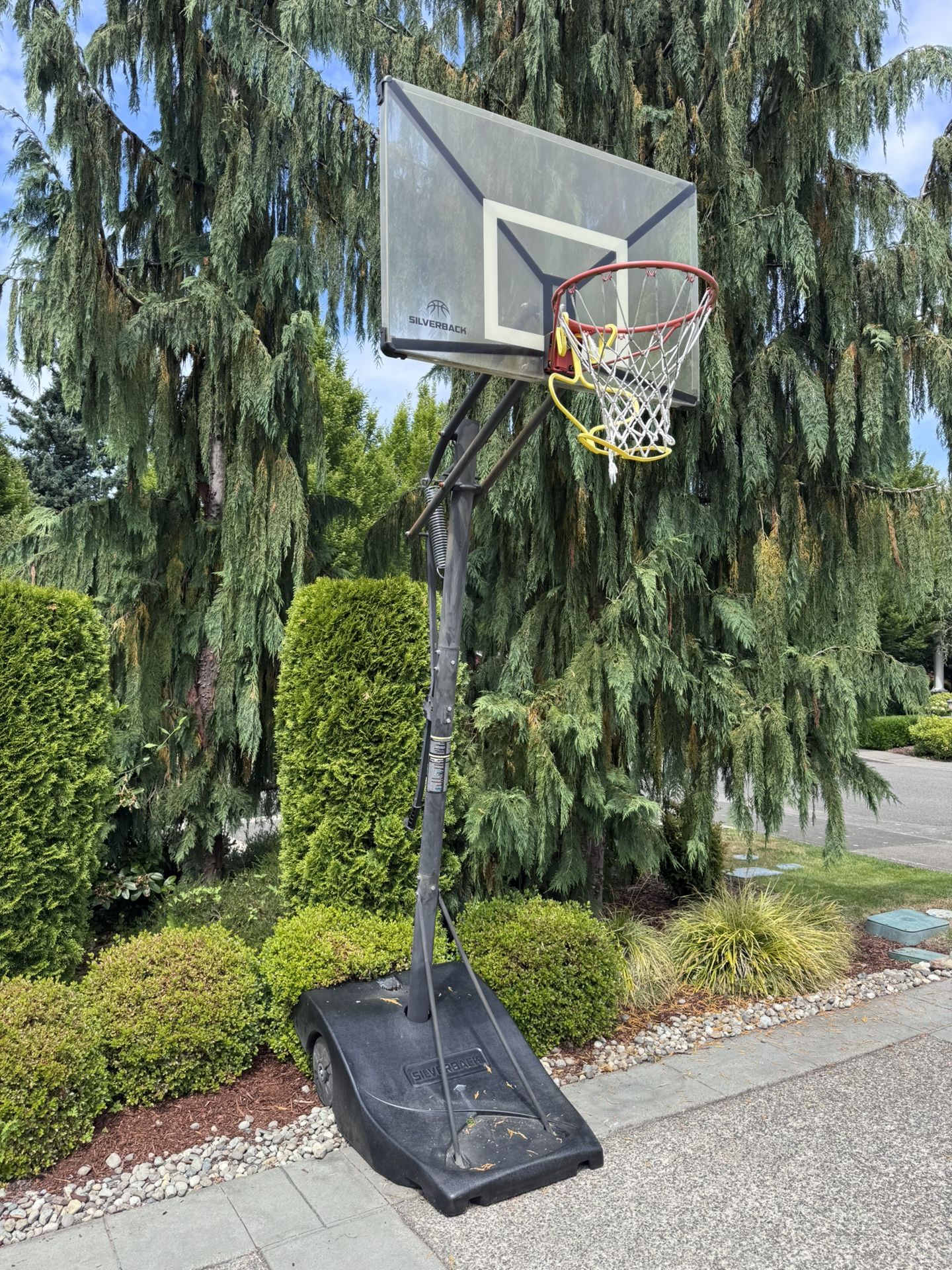 Silverback Basketball hoop