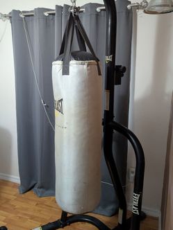 Everlast Punching Bag with gloves