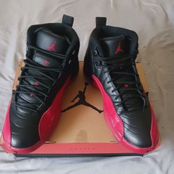 Air Jordan 12 Retro Flu Game Size 10 Great Condition