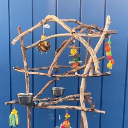 African Grey / Amazon Parrot Perch Tree… Breeder Direct Be low  Prices 