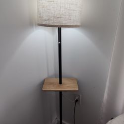 Modern Floor Lamp With dual USB Ports